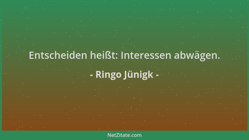 Ringo Jünigk - Entscheiden heißt: Interessen abwägen....