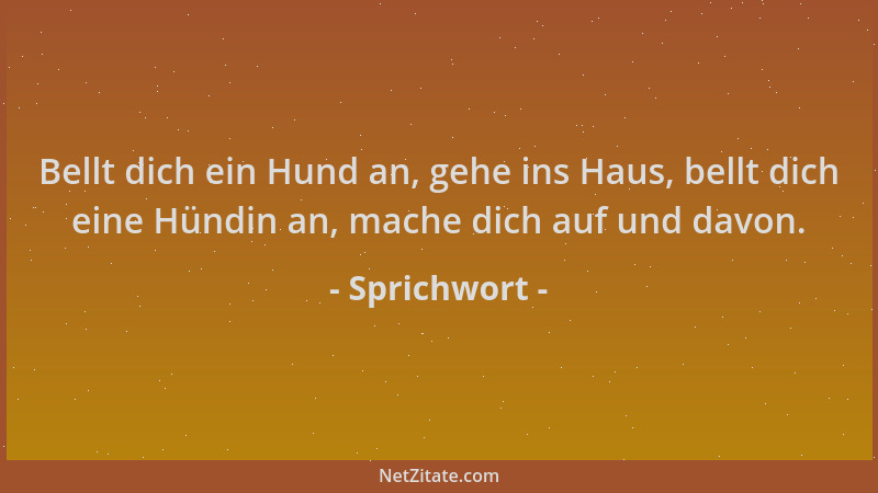 Sprichwort - Bellt dich ein Hund an, gehe ins Haus, bellt dich eine Hündin an, mache dich auf und davon....