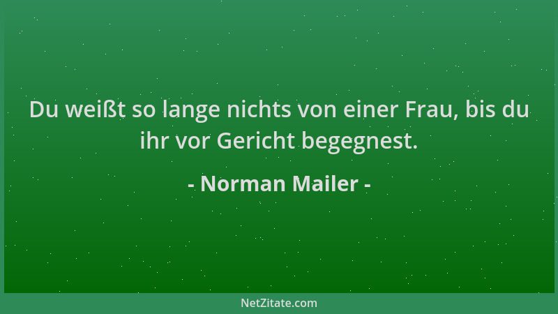 Norman Mailer - Du weißt so lange nichts von einer Frau, bis du ihr vor Gericht begegnest....