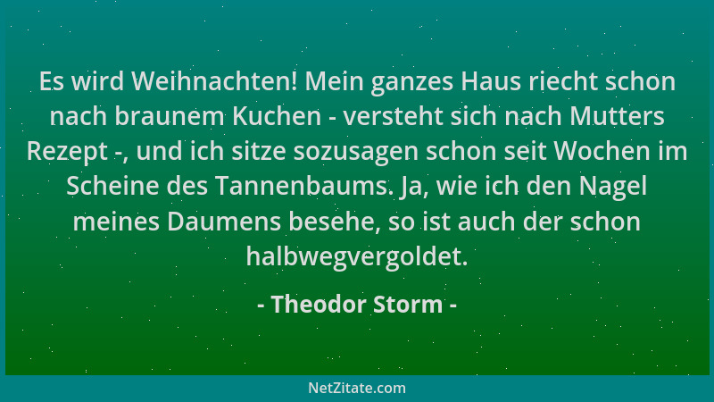 Theodor Storm - Es wird Weihnachten! Mein ganzes Haus riecht schon nach braunem Kuchen - versteht sich nach Mutters Rezept...