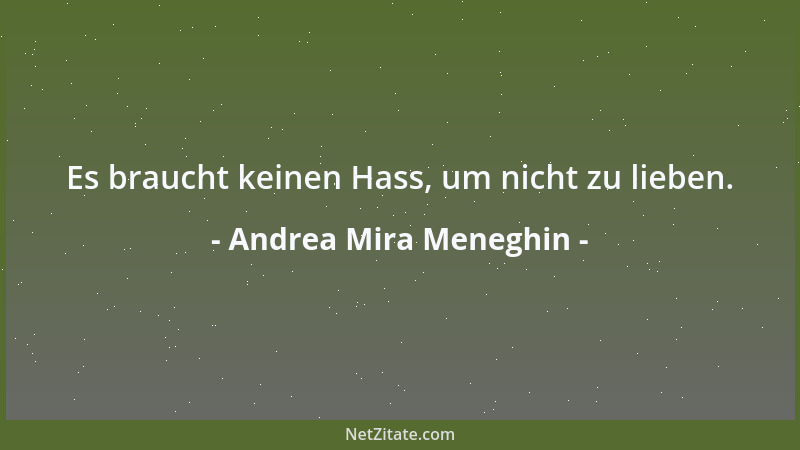Andrea Mira Meneghin - Es braucht keinen Hass, um nicht zu lieben....