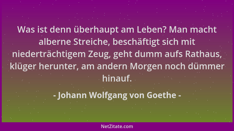 Johann Wolfgang von Goethe - Was ist denn überhaupt am Leben? Man macht alberne Streiche, beschäftigt sich mit niederträcht...
