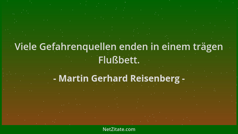 Martin Gerhard Reisenberg - Viele Gefahrenquellen enden in einem trägen Flußbett....