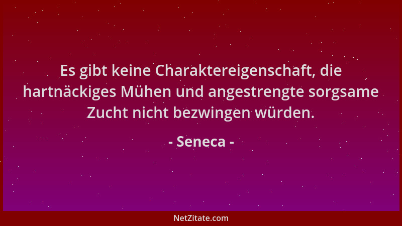 Seneca - Es gibt keine Charaktereigenschaft, die hartnäckiges Mühen und angestrengte sorgsame Zucht nicht bezwingen würden....