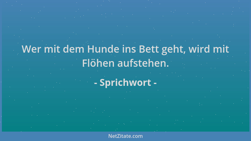 Sprichwort - Wer mit dem Hunde ins Bett geht, wird mit Flöhen aufstehen....
