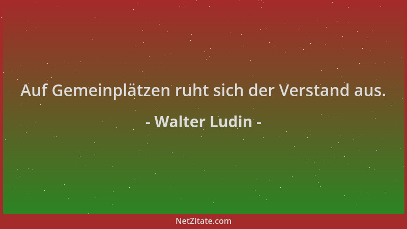 Walter Ludin - Auf Gemeinplätzen ruht sich der Verstand aus....