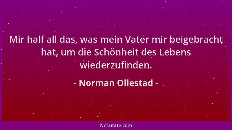 Norman Ollestad - Mir half all das, was mein Vater mir beigebracht hat, um die Schönheit des Lebens wiederzufinden....