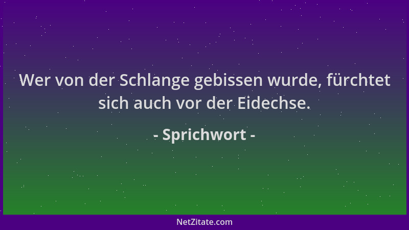 Sprichwort - Wer von der Schlange gebissen wurde, fürchtet sich auch vor der Eidechse....