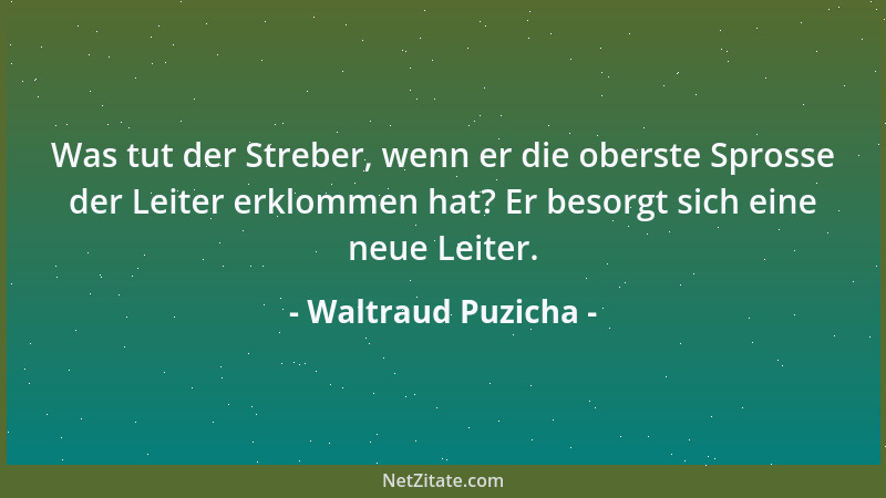 Waltraud Puzicha - Was tut der Streber, wenn er die oberste Sprosse der Leiter erklommen hat? Er besorgt sich eine neue Lei...