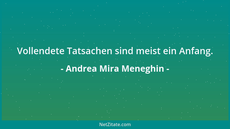 Andrea Mira Meneghin - Vollendete Tatsachen sind meist ein Anfang....