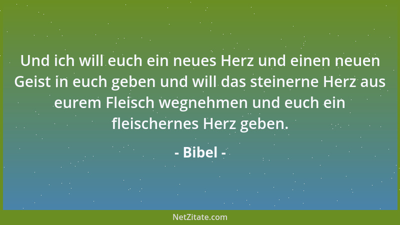 Bibel - Ein gütig Auge wird gesegnet; denn es gibt seines Brots den Armen....
