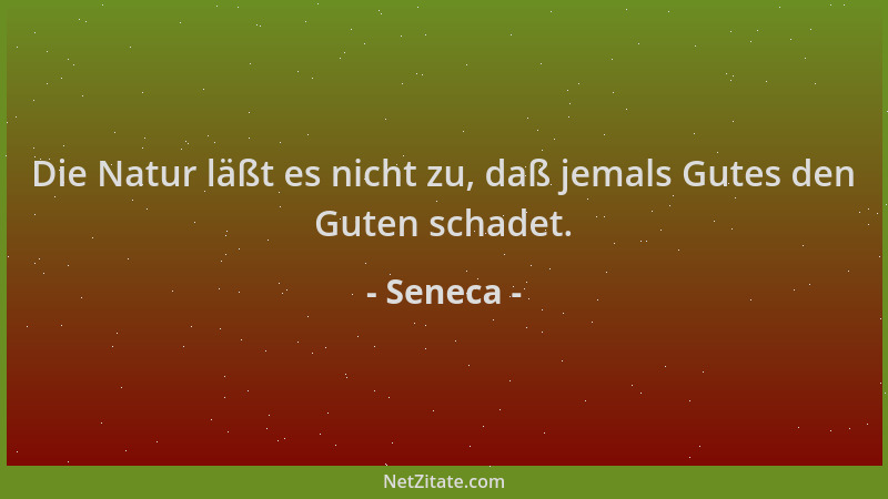 Seneca - Die Natur läßt es nicht zu, daß jemals Gutes den Guten schadet....