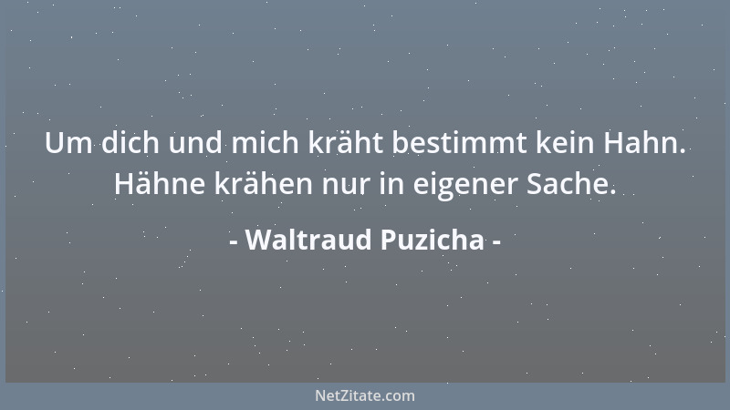 Waltraud Puzicha - Um dich und mich kräht bestimmt kein Hahn. Hähne krähen nur in eigener Sache....