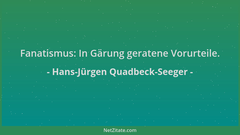 Hans-Jürgen Quadbeck-Seeger - Fanatismus: In Gärung geratene Vorurteile....