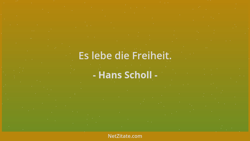 Hans Scholl - Es lebe die Freiheit....