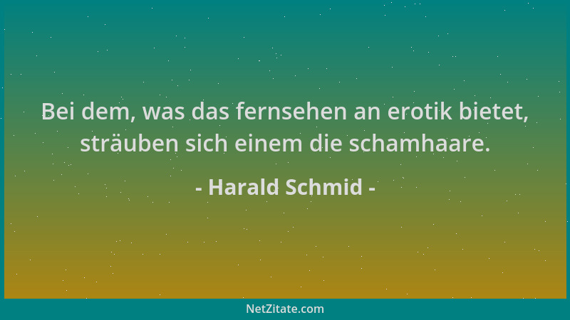 Harald Schmid - Bei dem, was das fernsehen an erotik bietet, sträuben sich einem die schamhaare....