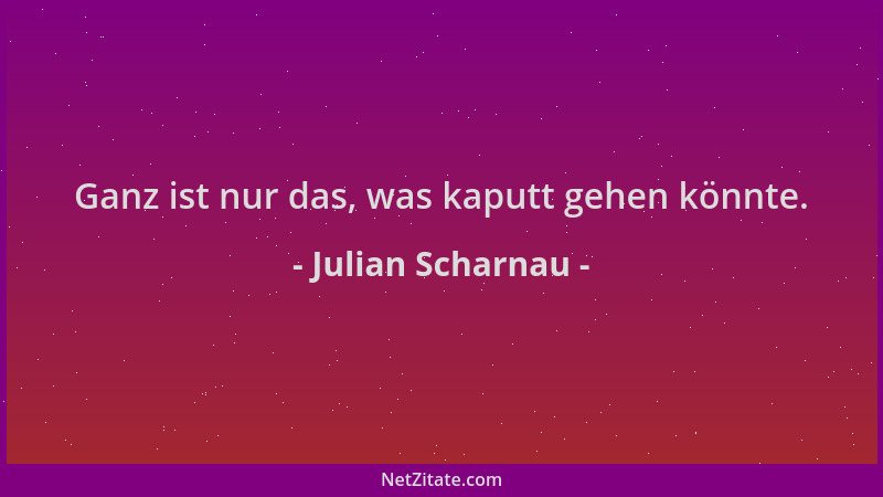 Julian Scharnau - Ganz ist nur das, was kaputt gehen könnte....