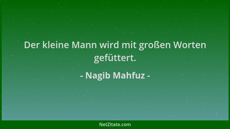 Nagib Mahfuz - Der kleine Mann wird mit großen Worten gefüttert....