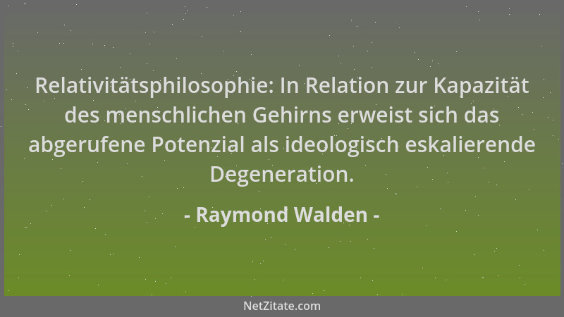 Raymond Walden - Relativitätsphilosophie: In Relation zur Kapazität des menschlichen Gehirns erweist sich das abgerufene Po...