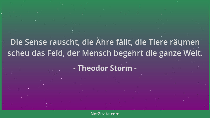 Theodor Storm - Die Sense rauscht, die Ähre fällt, die Tiere räumen scheu das Feld, der Mensch begehrt die ganze Welt....