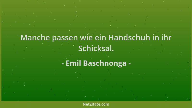 Emil Baschnonga - Manche passen wie ein Handschuh in ihr Schicksal....