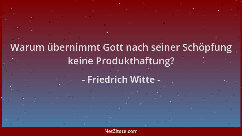 Friedrich Witte - Warum übernimmt Gott nach seiner Schöpfung keine Produkthaftung?...