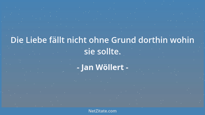 Jan Wöllert - Die Liebe fällt nicht ohne Grund dorthin wohin sie sollte....