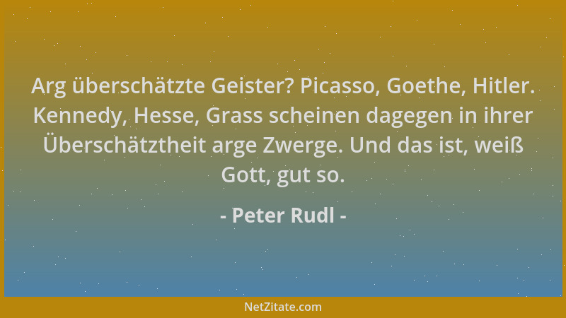 Peter Rudl - Arg überschätzte Geister? Picasso, Goethe, Hitler. Kennedy, Hesse, Grass scheinen dagegen in ihrer Überschätzt...