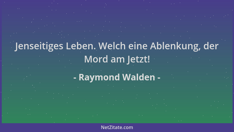 Raymond Walden - Jenseitiges Leben. Welch eine Ablenkung, der Mord am Jetzt!...