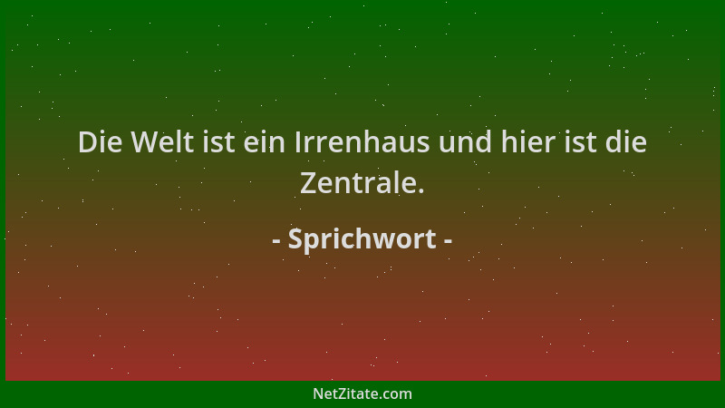 Sprichwort - Die Welt ist ein Irrenhaus und hier ist die Zentrale....