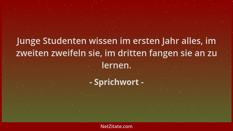 Sprichwort - Junge Studenten wissen im ersten Jahr alles, im zweiten zweifeln sie, im dritten fangen sie an zu lernen....