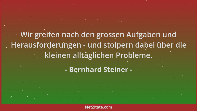 Bernhard Steiner - Wir greifen nach den grossen Aufgaben und Herausforderungen - und stolpern dabei über die kleinen alltäg...