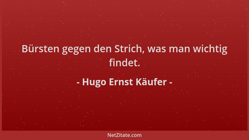 Hugo Ernst Käufer - Bürsten gegen den Strich, was man wichtig findet....