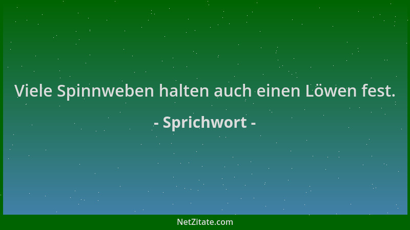 Sprichwort - Viele Spinnweben halten auch einen Löwen fest....