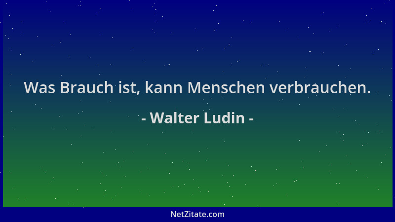 Walter Ludin - Was Brauch ist, kann Menschen verbrauchen....