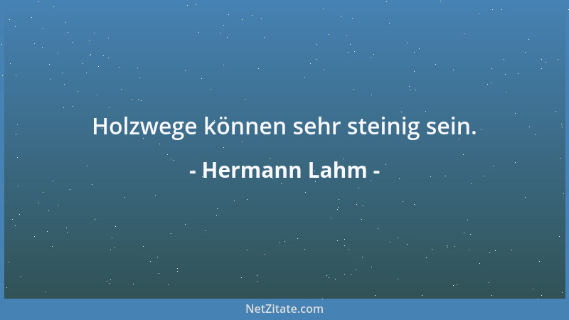 Hermann Lahm - Holzwege können sehr steinig sein....