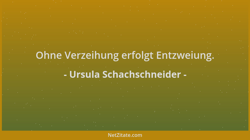 Ursula Schachschneider - Ohne Verzeihung erfolgt Entzweiung....