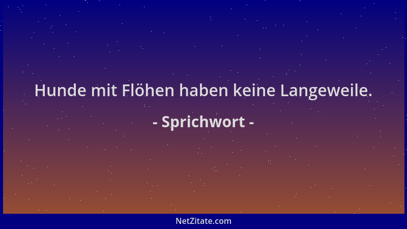 Sprichwort - Hunde mit Flöhen haben keine Langeweile....