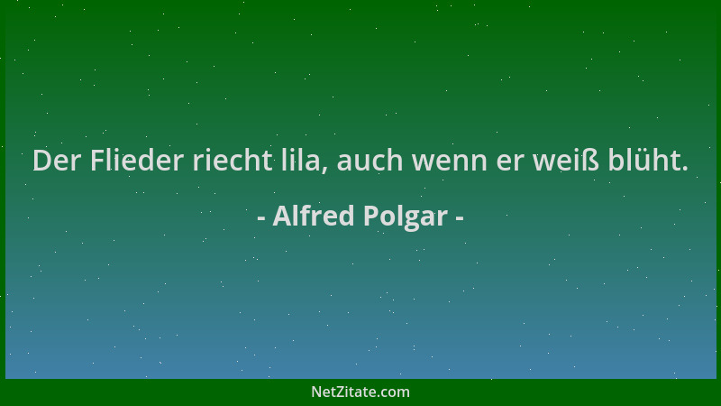 Alfred Polgar - Der Flieder riecht lila, auch wenn er weiß blüht....