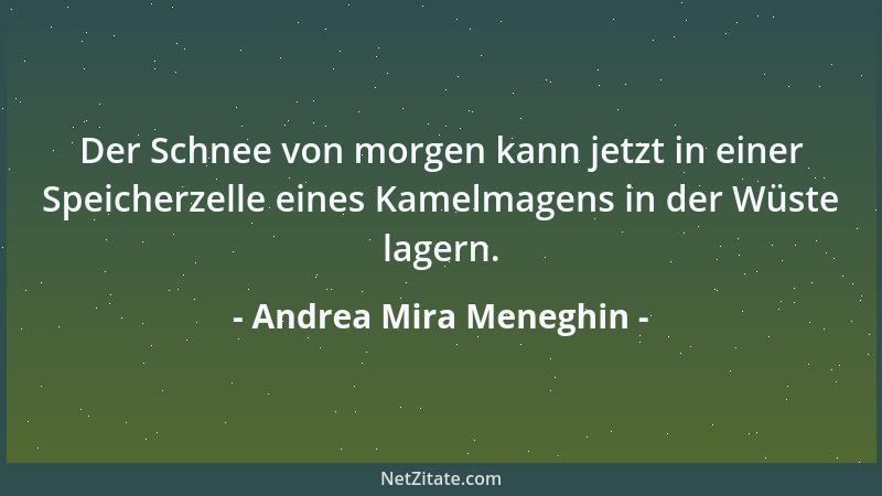 Andrea Mira Meneghin - Der Schnee von morgen kann jetzt in einer Speicherzelle eines Kamelmagens in der Wüste lagern....