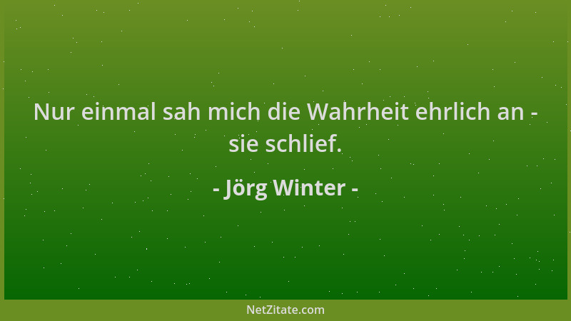 Jörg Winter - Nur einmal sah mich die Wahrheit ehrlich an - sie schlief....