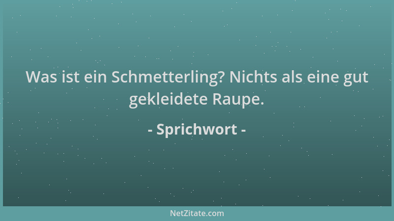 Sprichwort - Was ist ein Schmetterling? Nichts als eine gut gekleidete Raupe....
