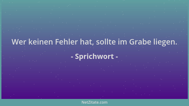 Sprichwort - Wer keinen Fehler hat, sollte im Grabe liegen....