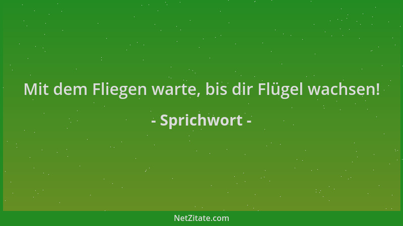 Sprichwort - Mit dem Fliegen warte, bis dir Flügel wachsen!...