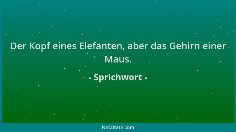 Sprichwort - Der Kopf eines Elefanten, aber das Gehirn einer Maus....