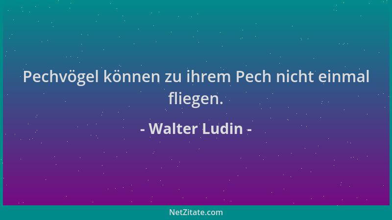 Walter Ludin - Pechvögel können zu ihrem Pech nicht einmal fliegen....