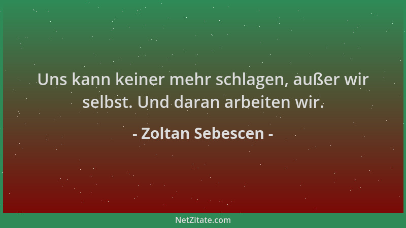 Zoltan Sebescen - Uns kann keiner mehr schlagen, außer wir selbst. Und daran arbeiten wir....