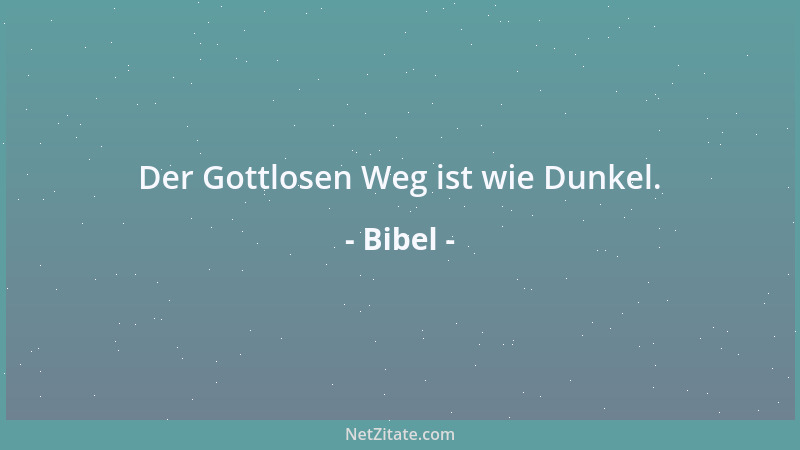 Bibel - Der Gottlosen Weg ist wie Dunkel....