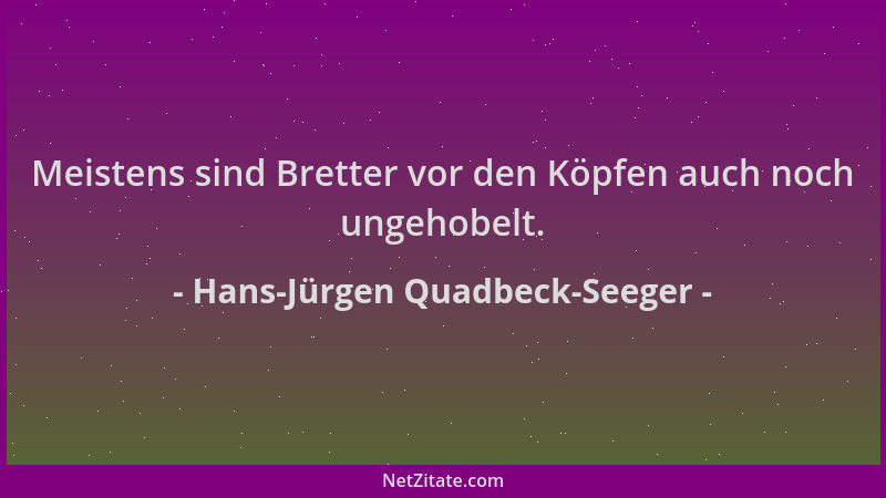 Hans-Jürgen Quadbeck-Seeger - Meistens sind Bretter vor den Köpfen auch noch ungehobelt....