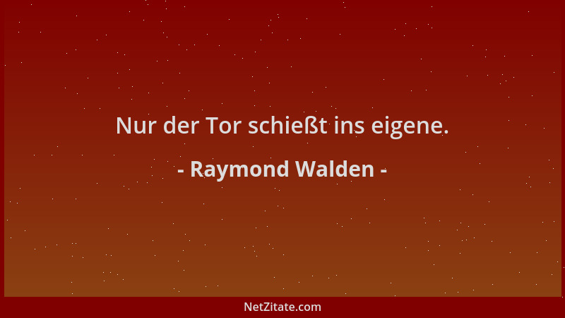 Raymond Walden - Nur der Tor schießt ins eigene....